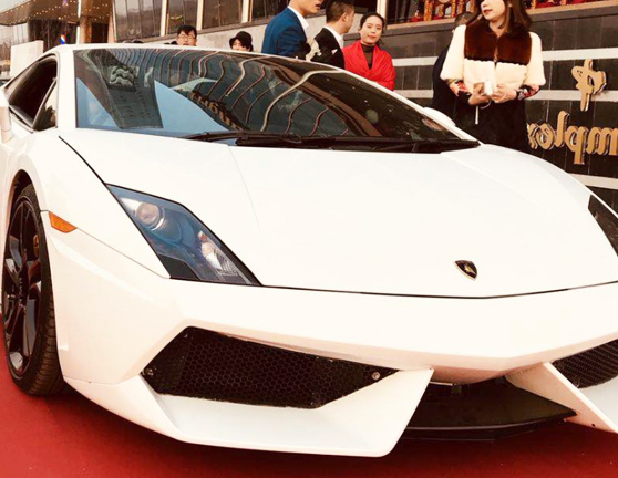 公司簡介